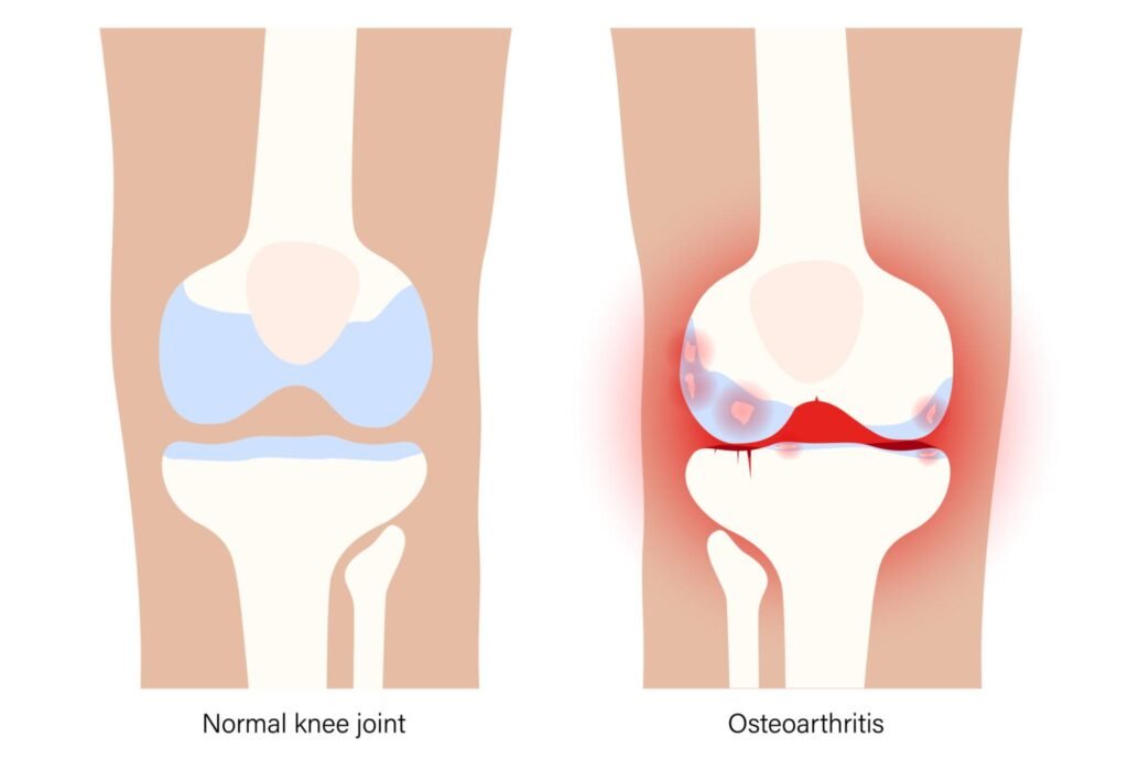 best orthopeadics near me